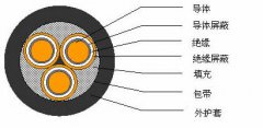 3*2.5，3*3，3*4，3*6，3*10，3*16，3*25屏蔽電纜結(jié)構(gòu)圖