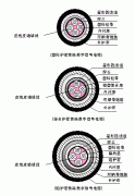 PTYA23、PTYA22鐵路鎧裝信號電纜